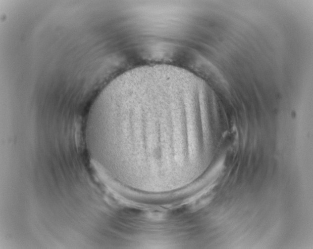 X0000088230416200706051353