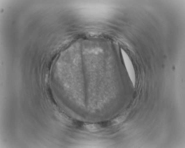 X0000088230417200706051353