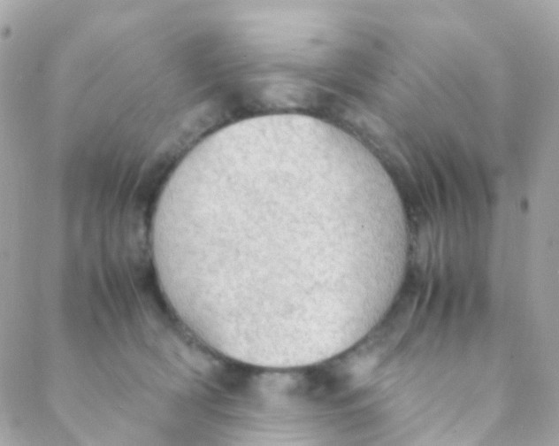 X0000088230418200706051353