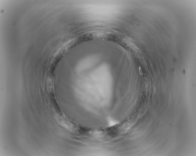 X0000088230419200706051353