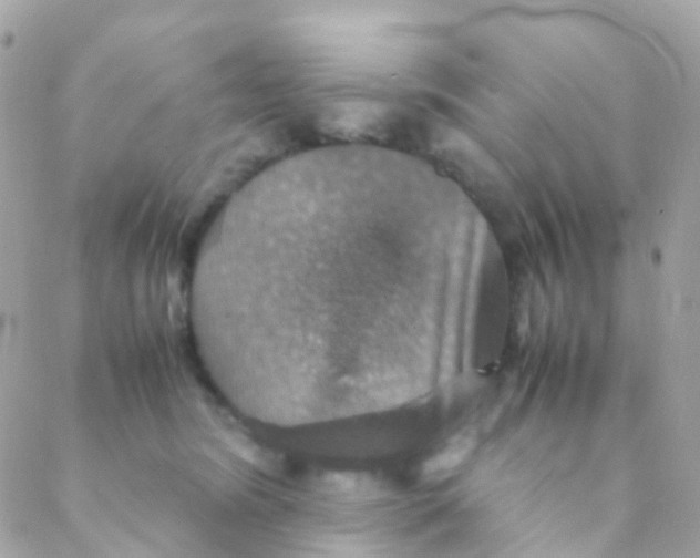 X0000088230420200706051353