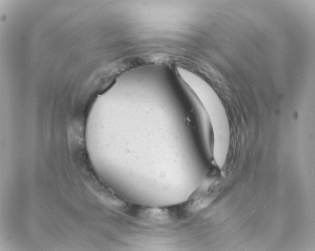 X0000088230421200706051353