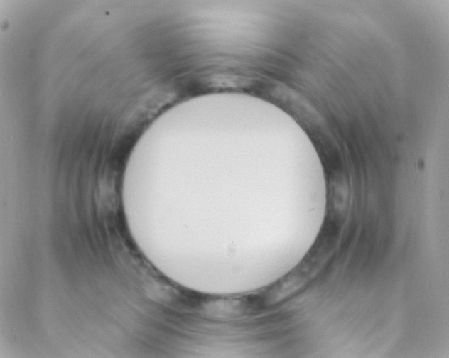 X0000088230422200706051352