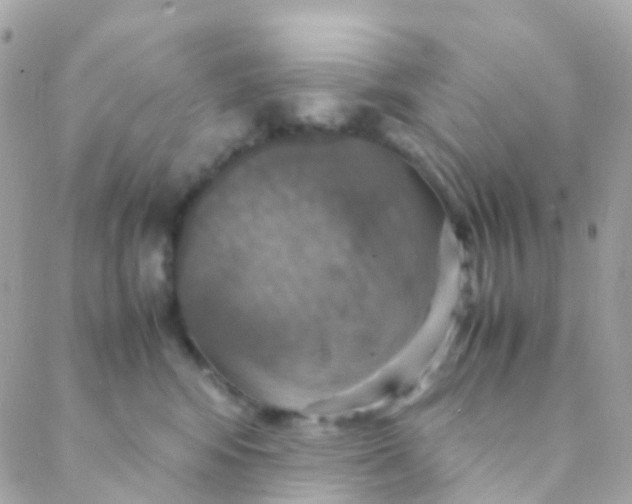 X0000088230424200706051352