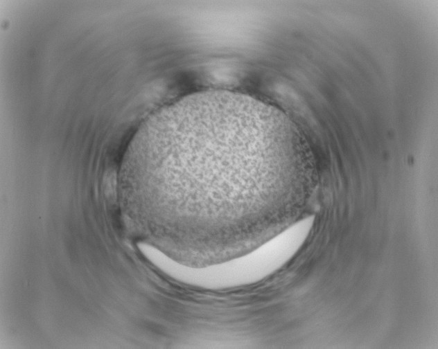 X0000088230425200706051352