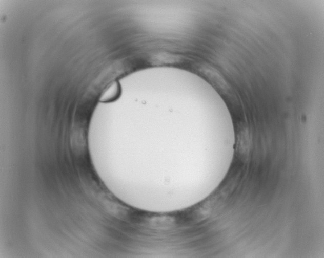 X0000088230426200706051352