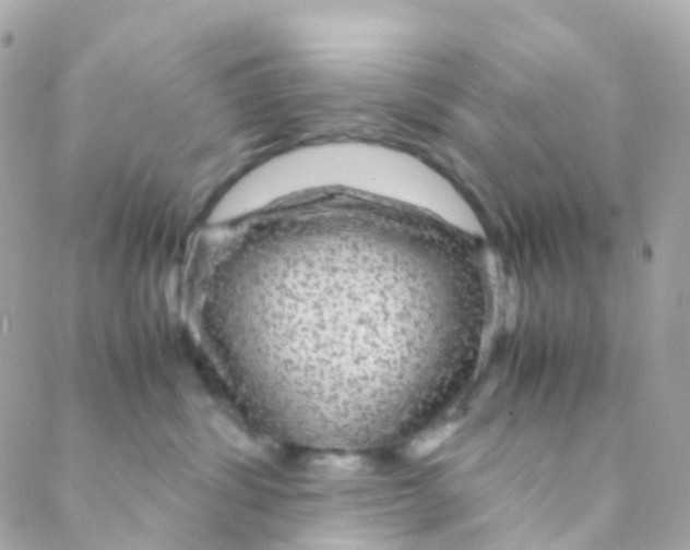 X0000088230428200706051352