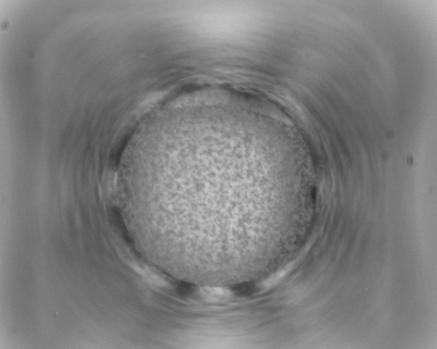 X0000088230429200706051352