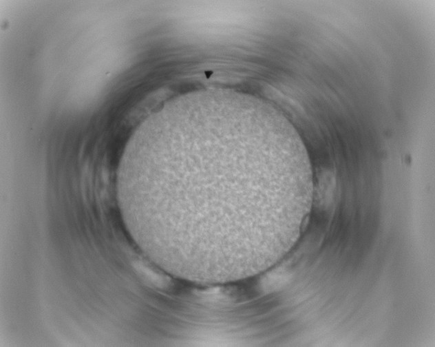 X0000088230430200706051352