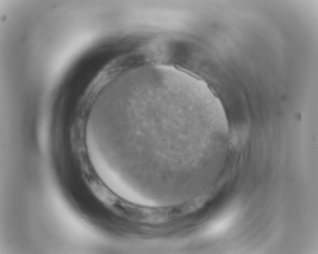 X0000088230431200706051352