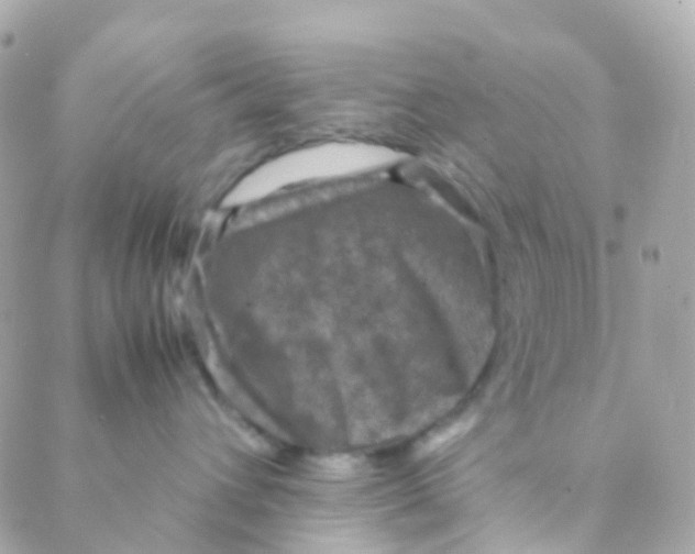 X0000088230432200706051352