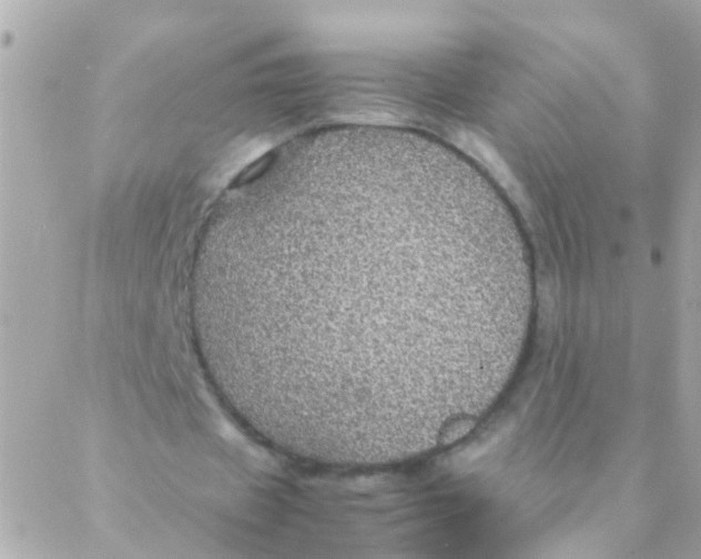 X0000088230433200706051352