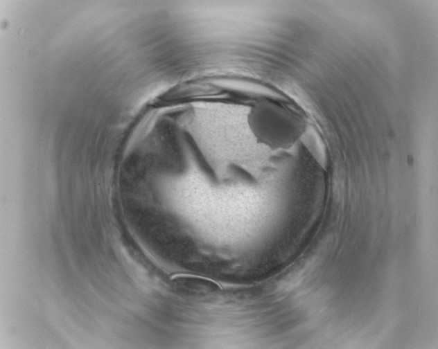 X0000088230434200706051352