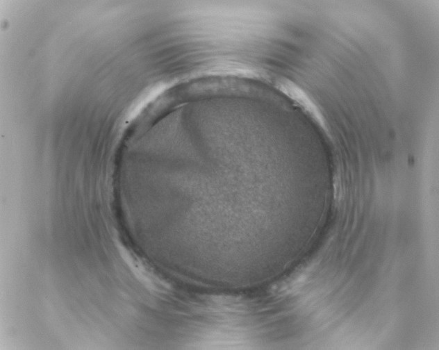 X0000088230436200706051352