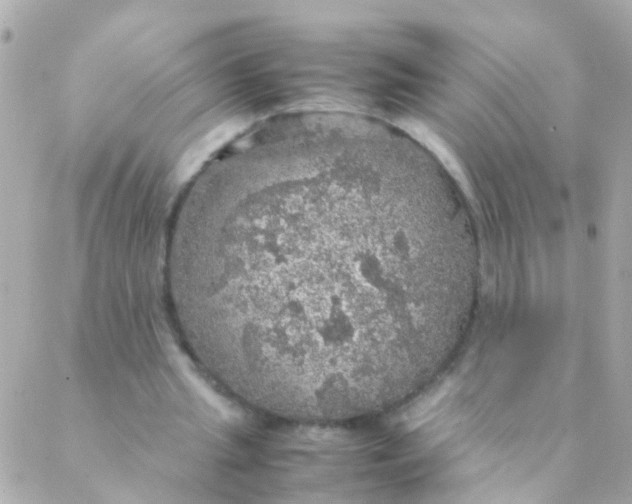 X0000088230437200706051352