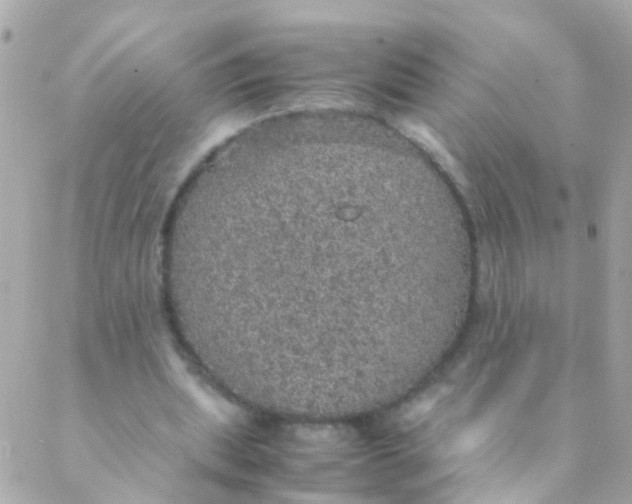 X0000088230439200706051352