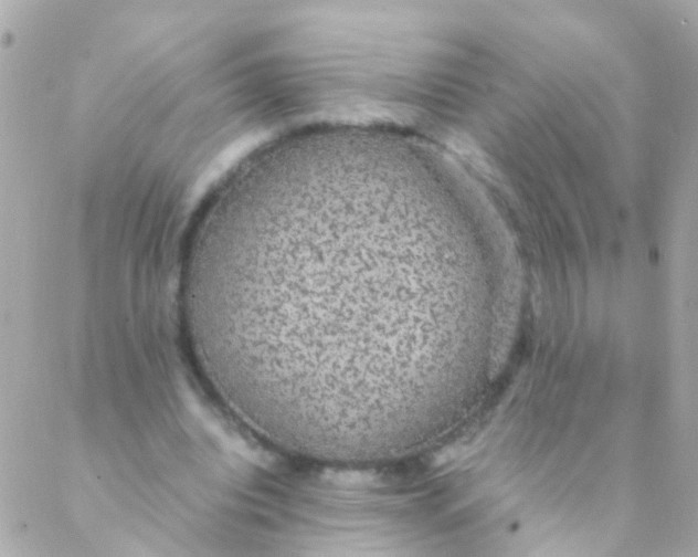 X0000088230440200706051352