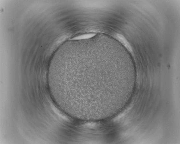 X0000088230441200706051352