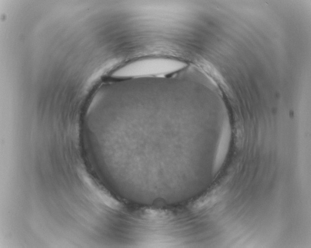 X0000088230442200706051352