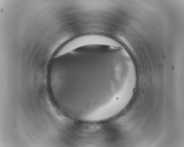 X0000088230443200706051352