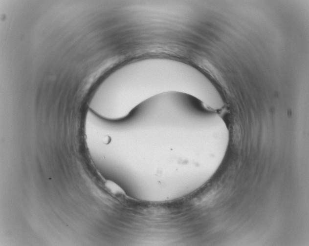 X0000088230444200706051352