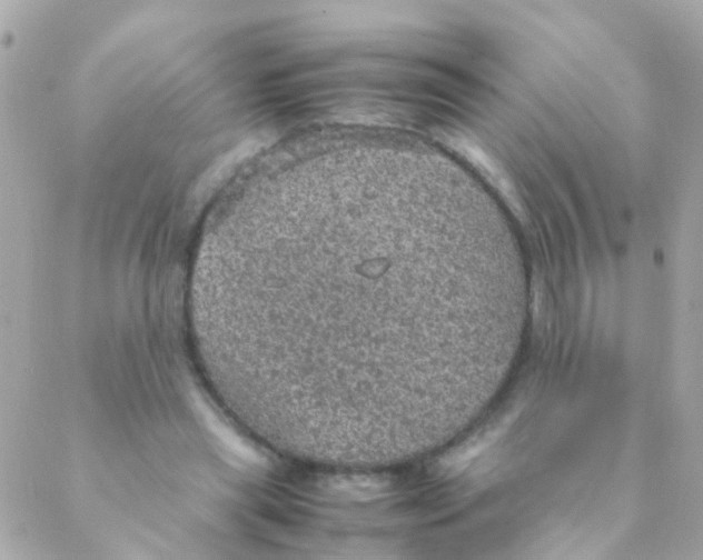 X0000088230445200706051352