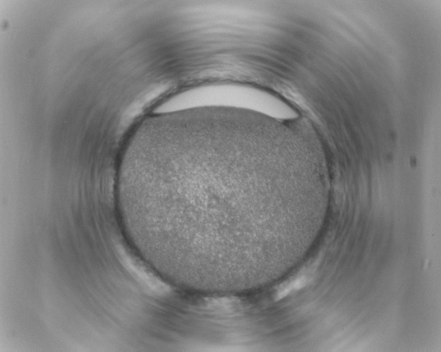 X0000088230446200706051352