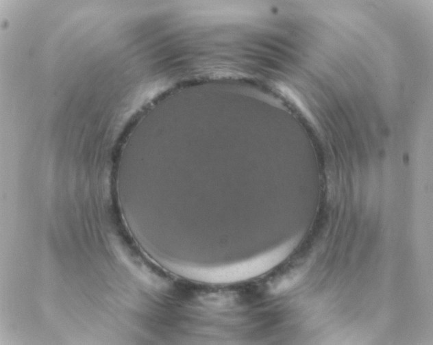 X0000088230447200706051352