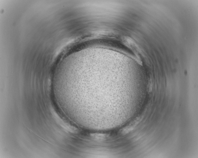 X0000088230448200706051352