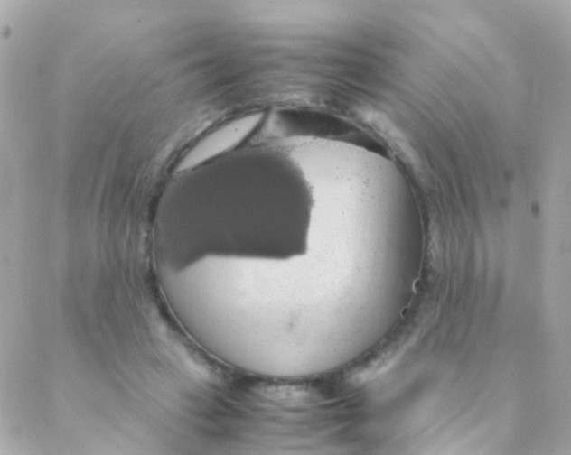 X0000088230449200706051352