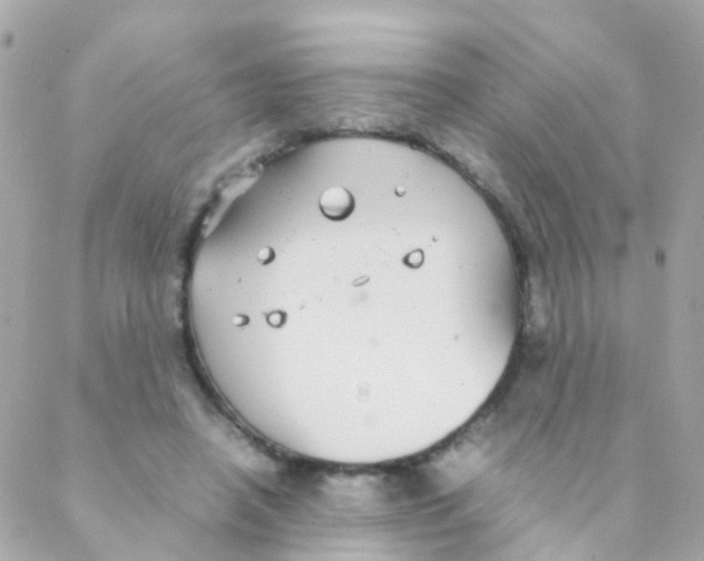 X0000088230450200706051352