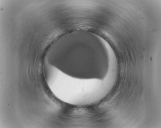 X0000088230451200706051352