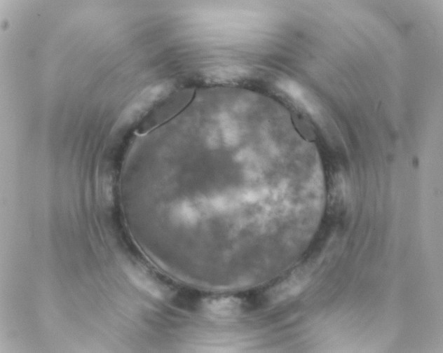 X0000088230452200706051352