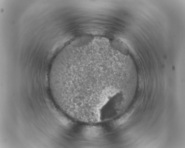 X0000088230453200706051352