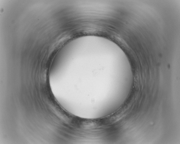 X0000088230454200706051352