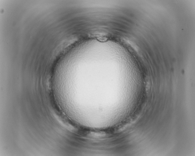 X0000088230455200706051352