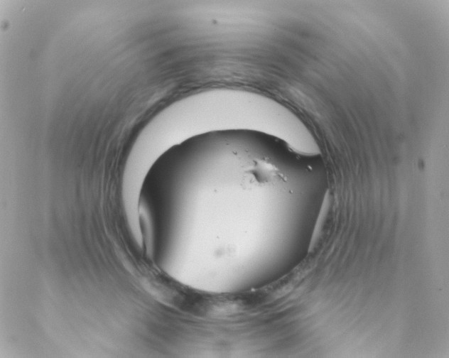 X0000088230456200706051352