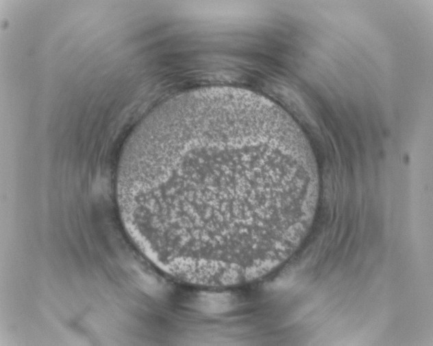 X0000088230457200706051352