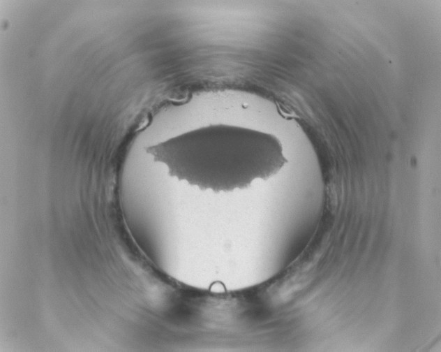 X0000088230458200706051352