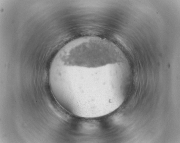 X0000088230459200706051352