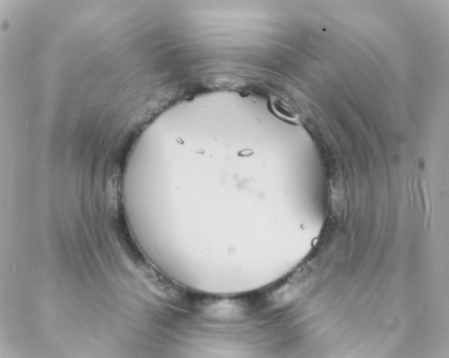 X0000088230460200706051352