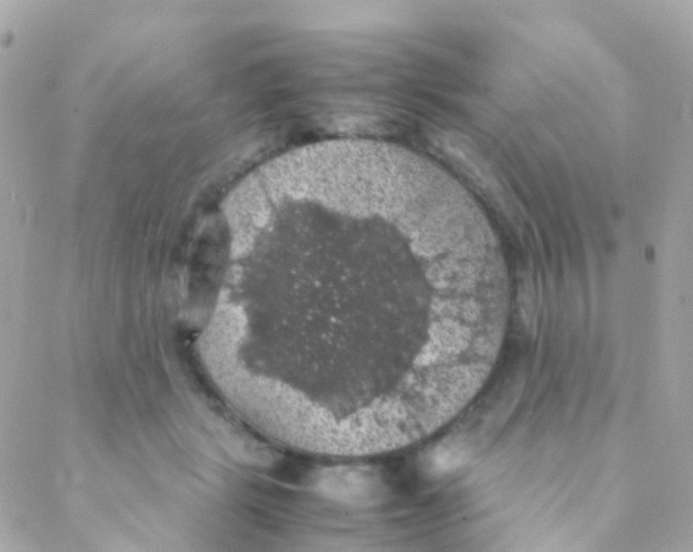 X0000088230461200706051352