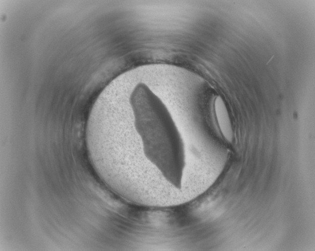 X0000088230462200706051352