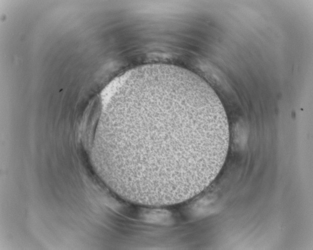 X0000088230463200706051352