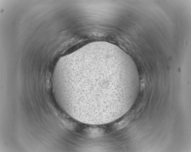 X0000088230464200706051352