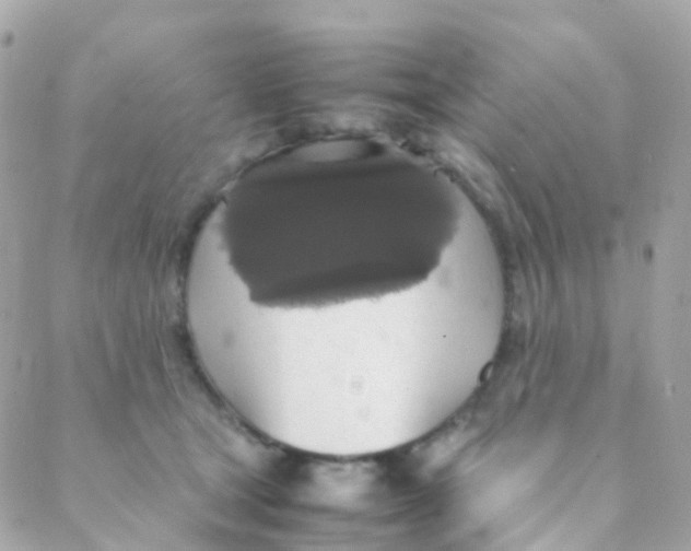 X0000088230465200706051352