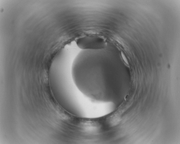 X0000088230467200706051352