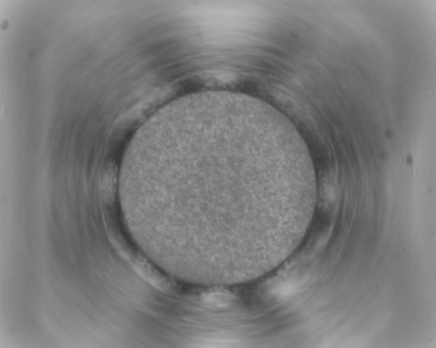 X0000088230468200706051352