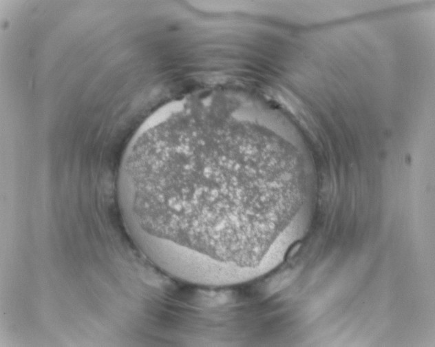 X0000088230469200706051352