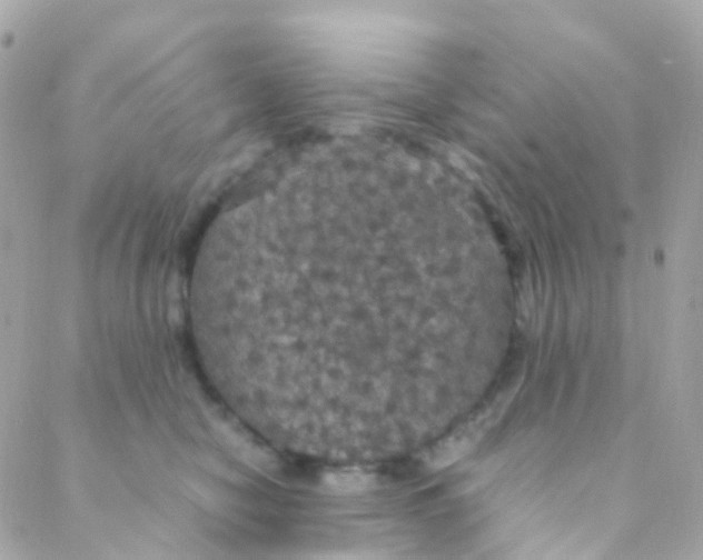 X0000088230470200706051352